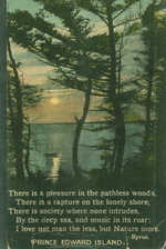 "There is a pleasure in the pathless woods"postcard. 