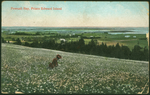 Pownall Bay, Prince Edward Island 
